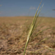 Imagen para el artículo titulado Una carta publicada en 220 publicaciones médicas explica cómo te matará el cambio climático